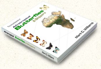 Afrotropical Butterflies & Skippers